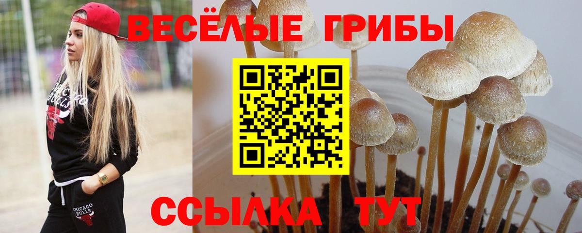 Псилоцибиновые грибы ЛСД  Вход с VPN  Кинель  Псилоцибиновые грибы мухоморы 
