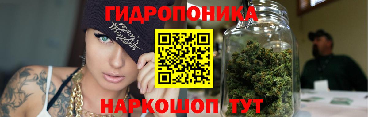 Бошки марихуана гибрид  Вход с VPN  Бошки марихуана план  Кинель 